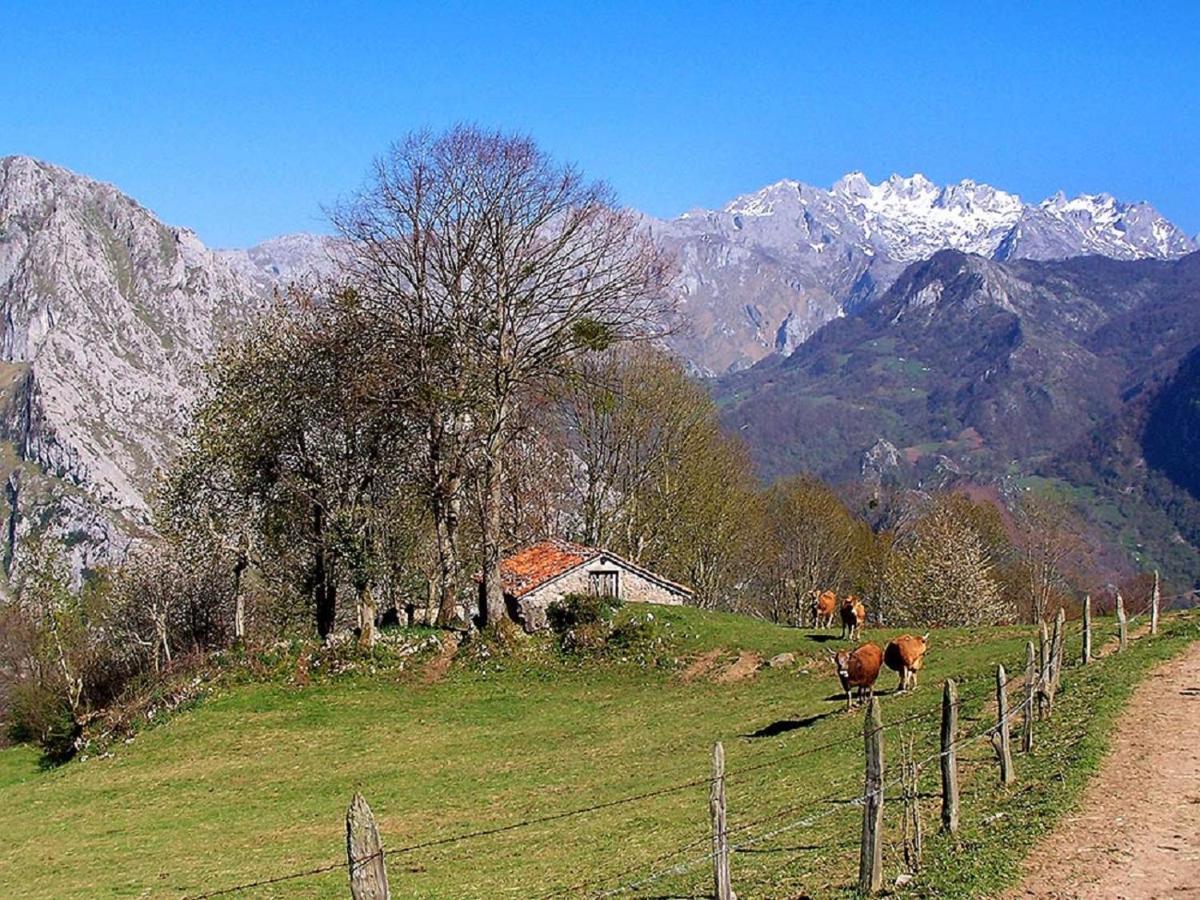Affittacamere La Casona De Sames Esterno foto